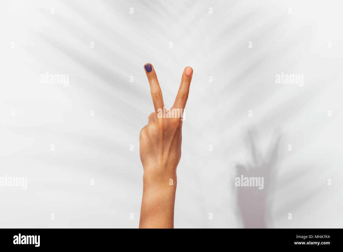 Bella Mano femmina con manicure su sfondo bianco in presenza di luce solare close-up Foto Stock