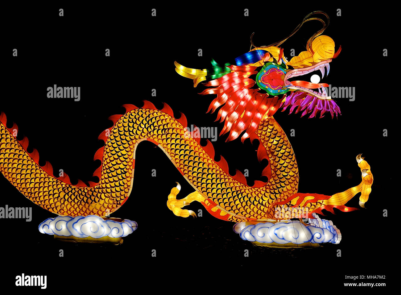 Immagine di un drago contro puro sfondo nero sulla Cina festival delle luci, 10 dicembre 2014, Anversa, Belgio. Foto Stock