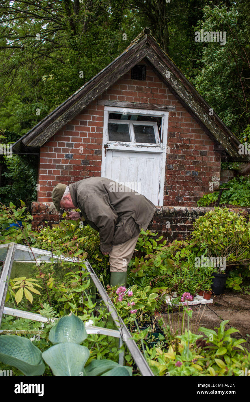 Professionale giardiniere al lavoro Foto Stock