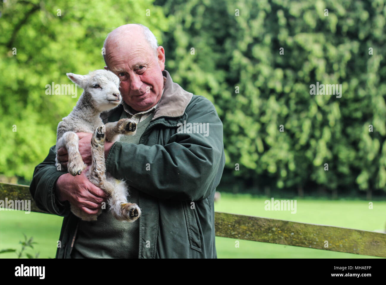 Contadino con un agnello Foto Stock