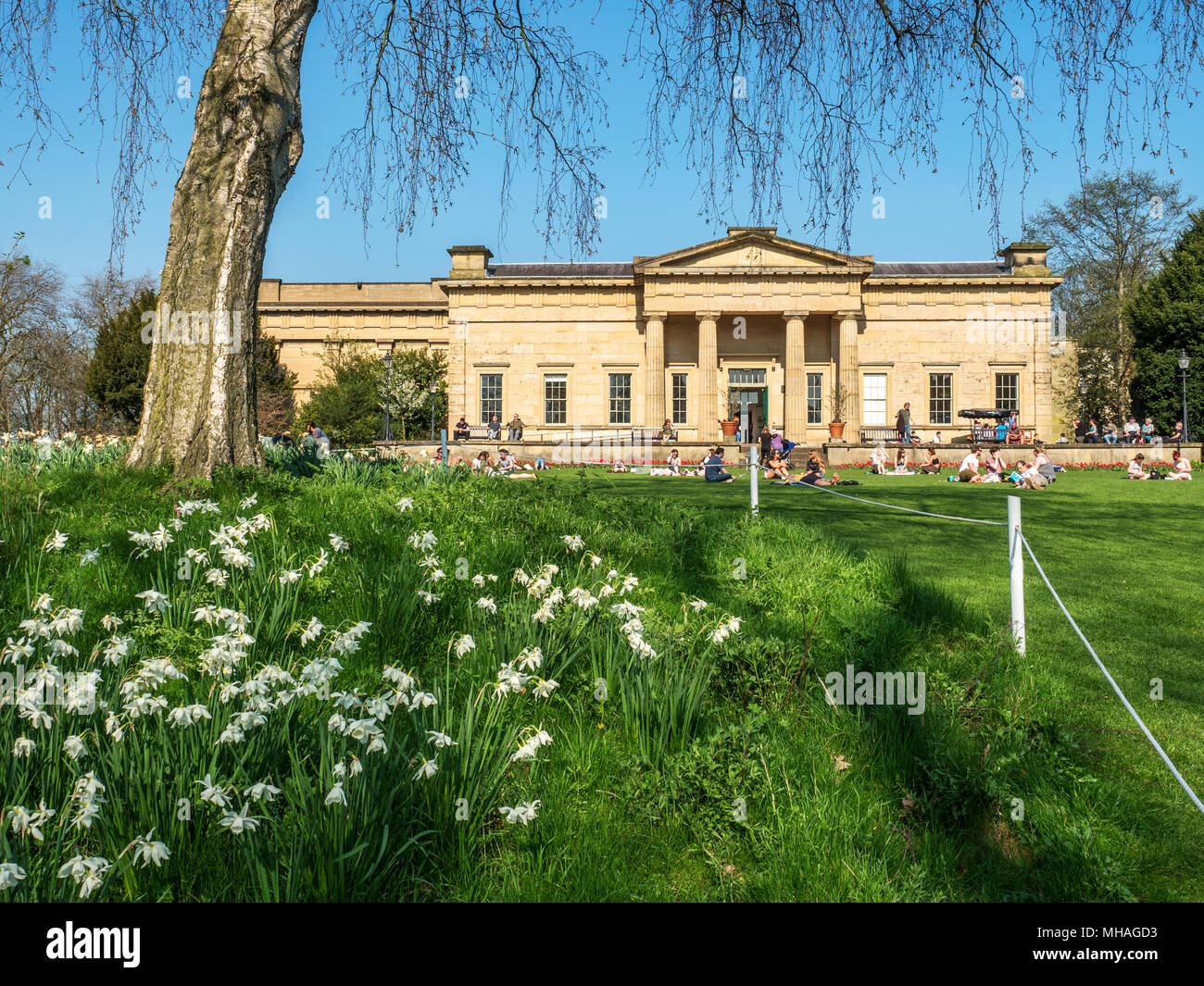 Il museo dello Yorkshire nel museo giardini in primavera York Yorkshire Inghilterra Foto Stock