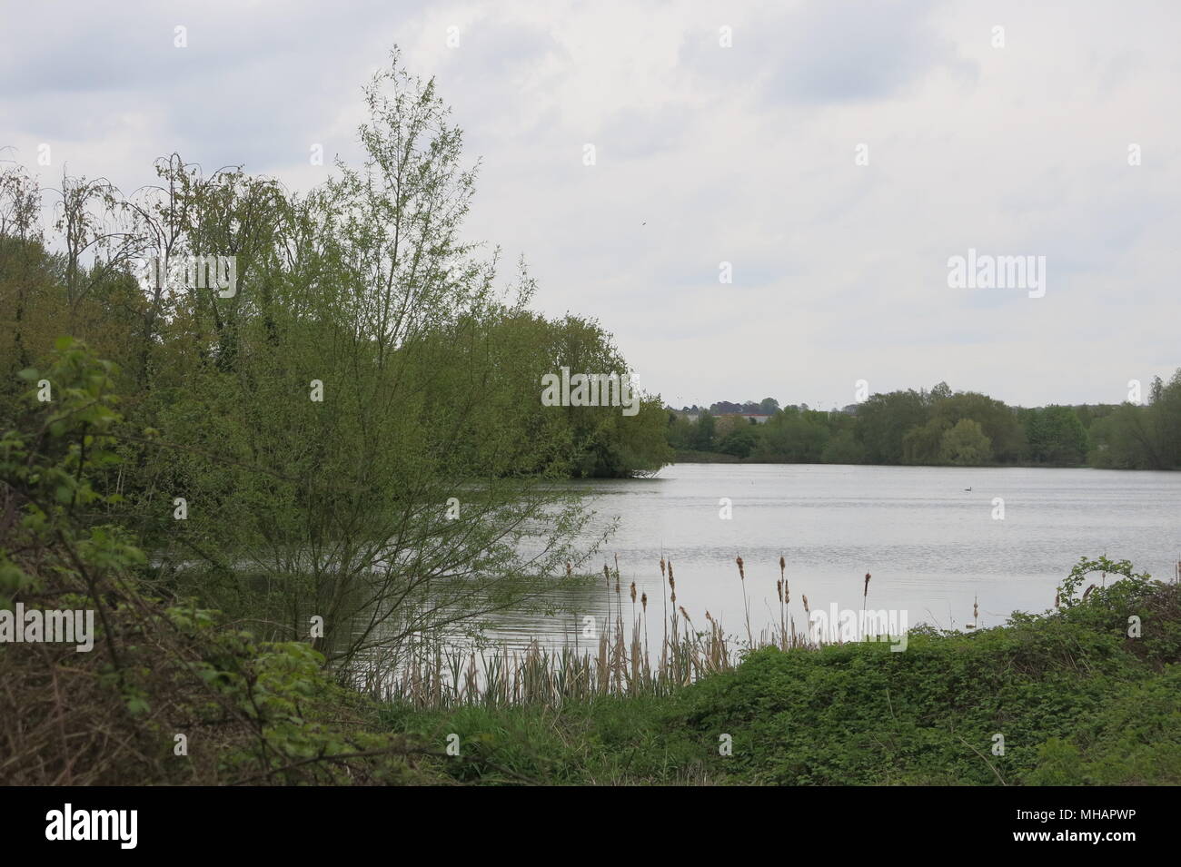 Delapre Abbey, sul bordo di Northampton, ha 900 anni di storia e di 500 acri di bosco, parco e giardino murato; visita la casa e i giardini. Foto Stock