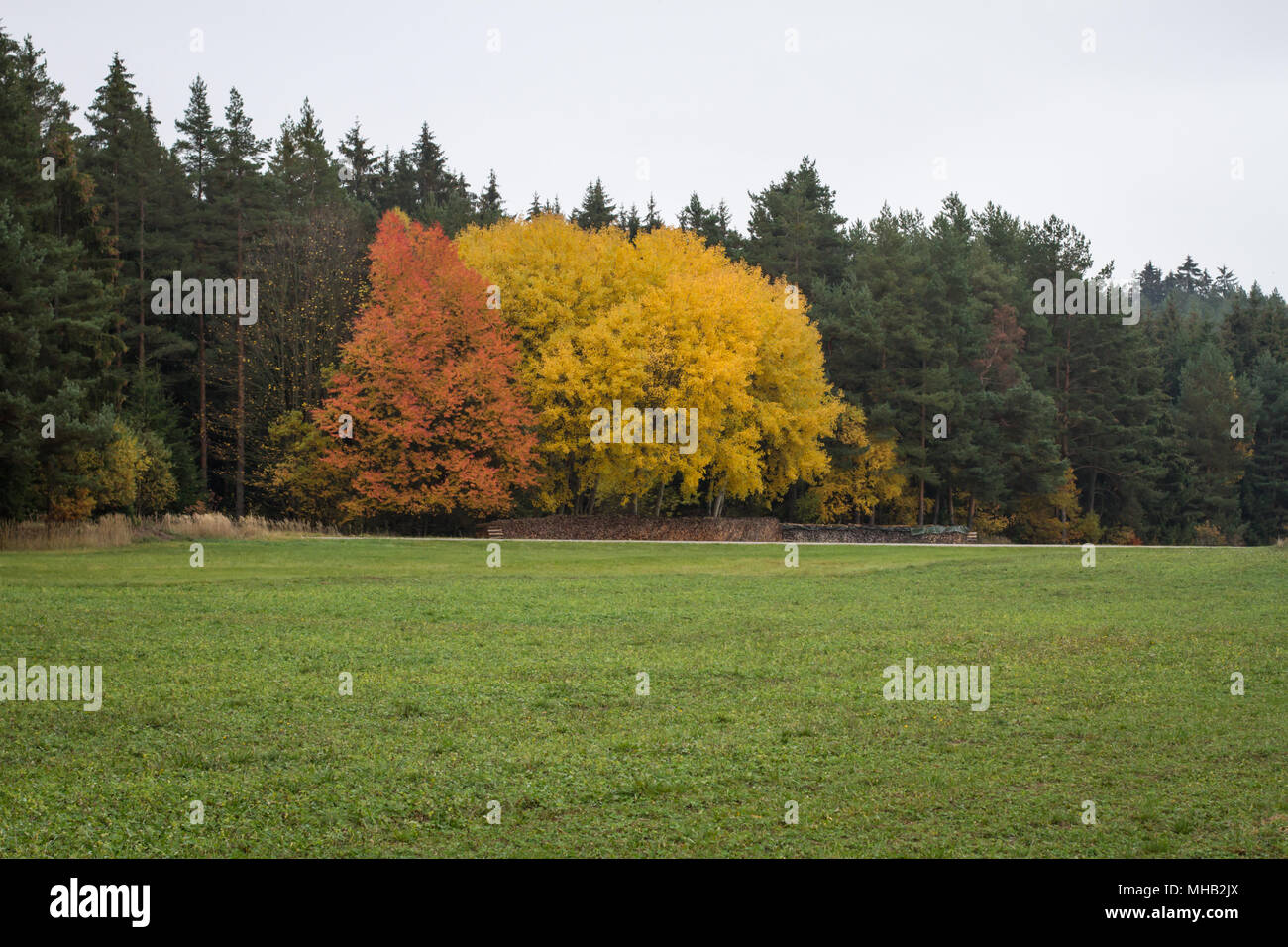 Madre natura su una bella giornata d'autunno Foto Stock