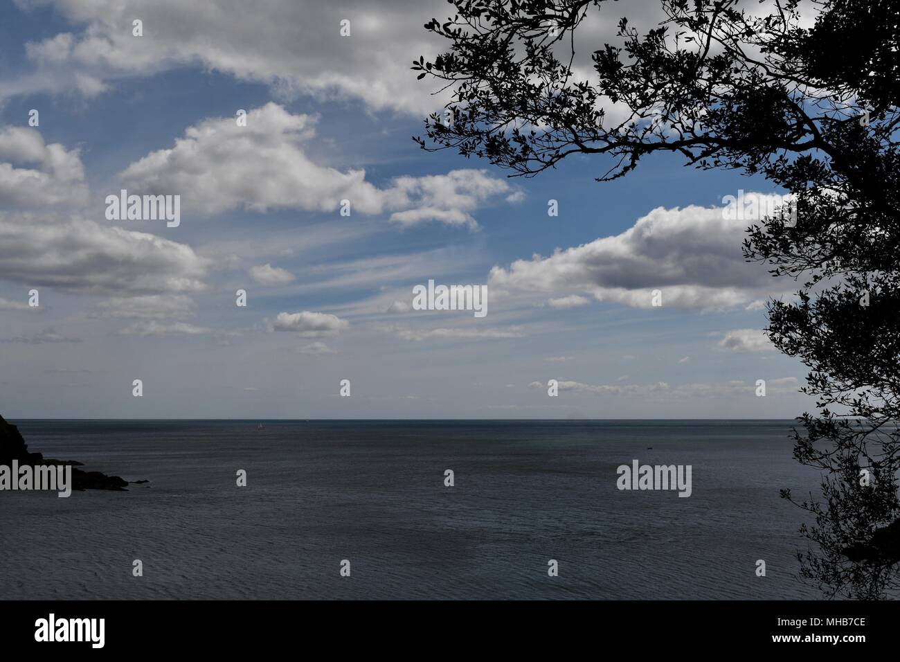 Vista sul fiume Fowey estuario verso il mare Foto Stock
