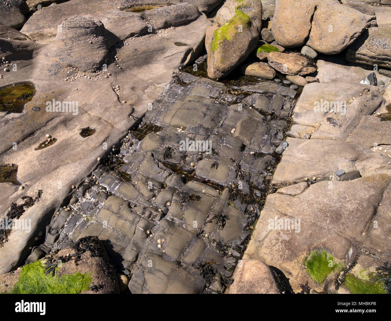 La cucitura di basalto ignea intrusione in spiaggia spiaggia di roccia, Glasnakille, Isola di Skye, Scotland, Regno Unito Foto Stock