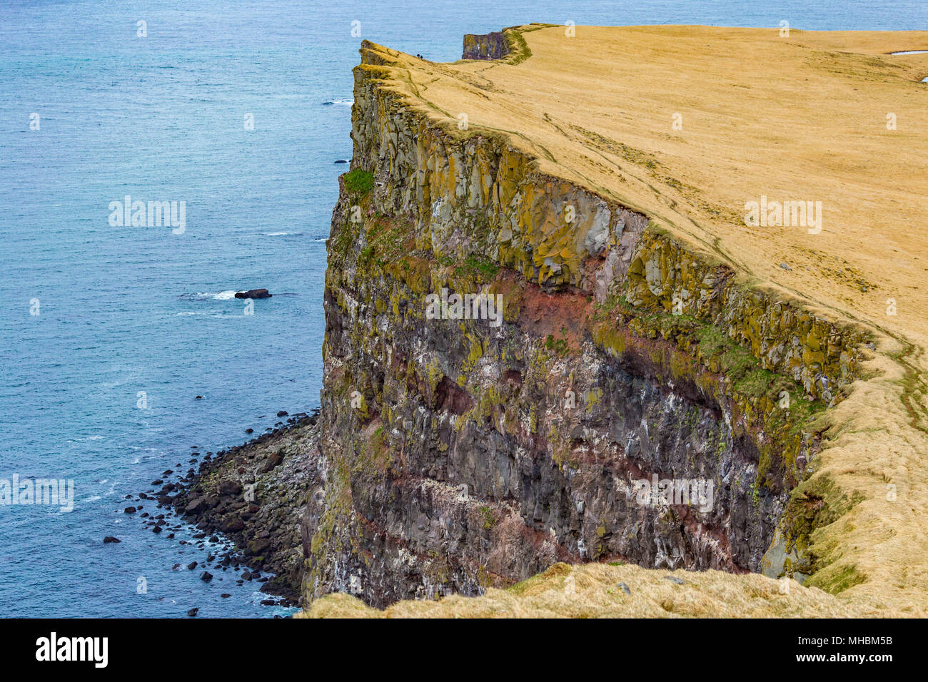 Scogliere Latrabjarg in Westfjords, Islanda Foto Stock