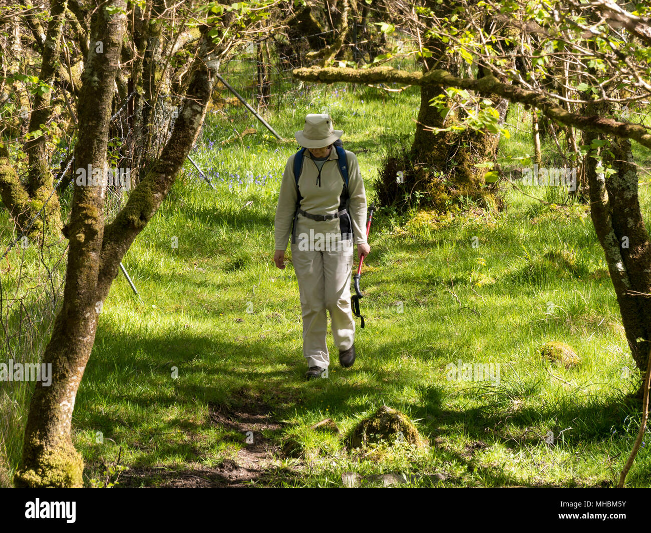 Femmina a piedi attraverso verdi boschi sulla strada forestale in primavera Foto Stock