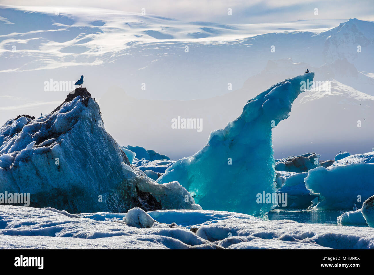 Gabbiani al di sopra di iceberg galleggianti in laguna glaciale Jokullsarlon, Sud Islanda Foto Stock