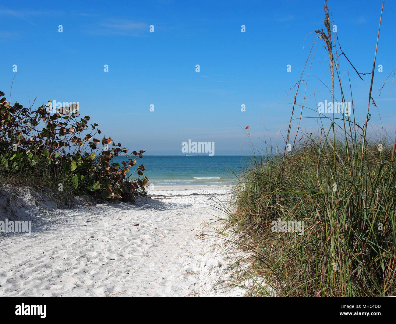 Passeggiata attraverso le dune a Pass-A-Grille Beach, San Pietroburgo, Florida, Stati Uniti d'America 2017 © Katharine Andriotis Foto Stock