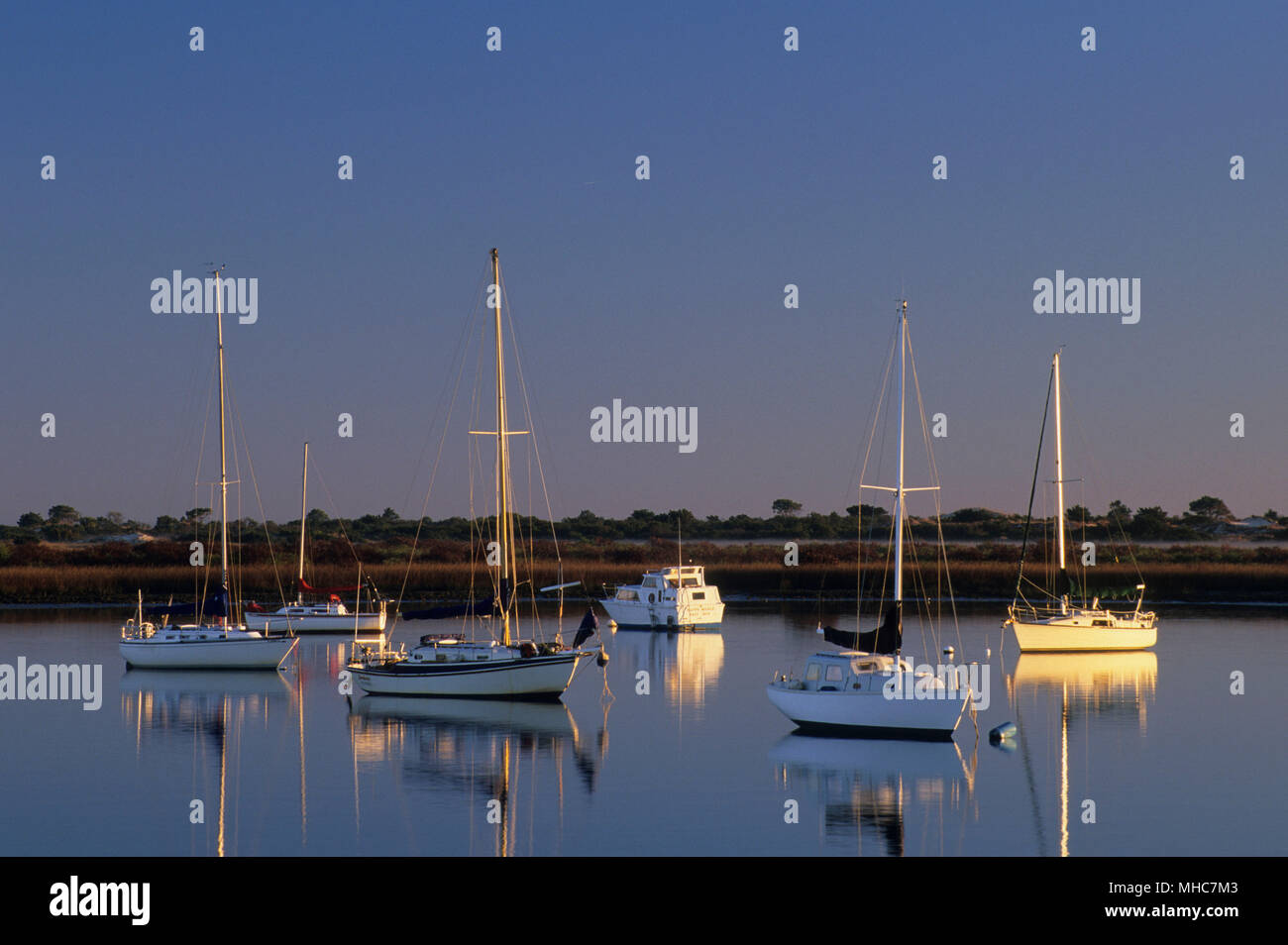 Barche ancorate al sale eseguire, Lighthouse Park, St. Augustine, Florida Foto Stock