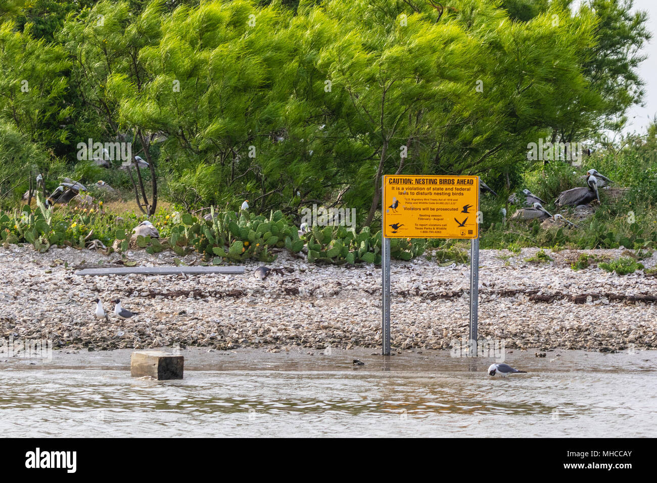 Segnale di avvertimento a nord Isola cervi Pelican Rookery in Galveston bay. Isola è protetto e chiuso al pubblico durante la stagione riproduttiva. Foto Stock