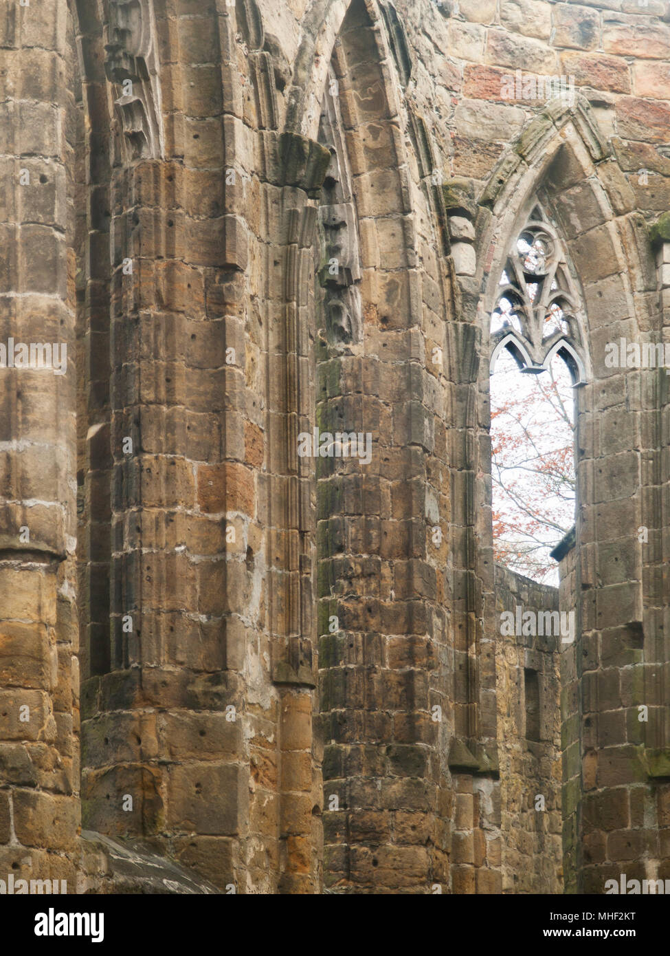 Dettaglio del gotico rovine del monastero di Oybin in Germania Foto Stock