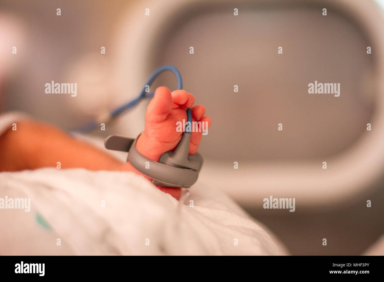 Neonato in unità di cura intensiva ICU in un ospedale Foto Stock