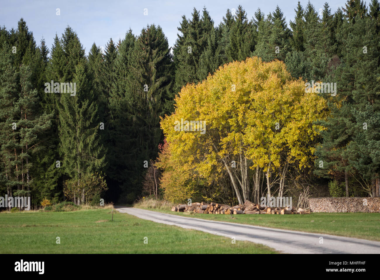 Madre natura su una bella giornata d'autunno Foto Stock
