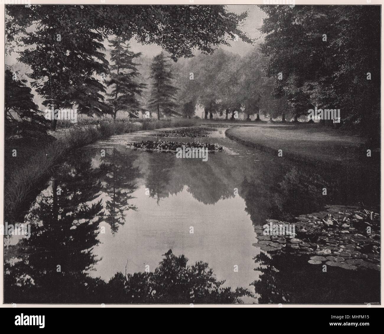 La laguna di acqua stagnante a Hampton, riflettendo sulla sua superficie la luce e il verde scuro degli alberi a sbalzo e addobbate con gigli Foto Stock