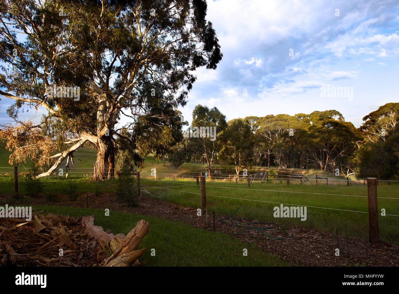 Macclesfield, Australia. 25th, Ott 2017. Casa in Macclesfield, vista del giardino interno, nelle colline di Adelaide regione, il consiglio del distretto di Mou Foto Stock