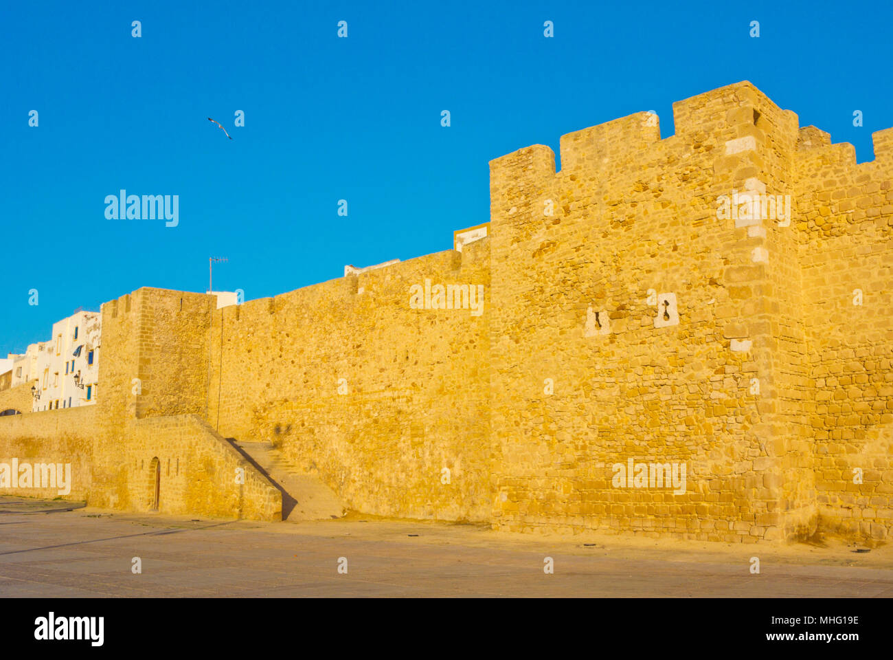 Pareti Medina, a Bab Lamaasa, Safi, Marocco, Africa settentrionale Foto Stock