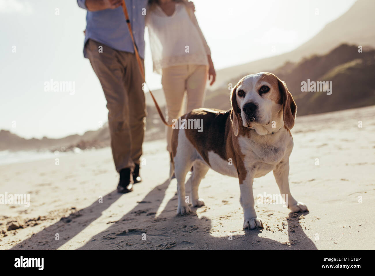 Cane di camminare sulla spiaggia con coppia. Coppia con cane sulla passeggiata mattutina. Foto Stock