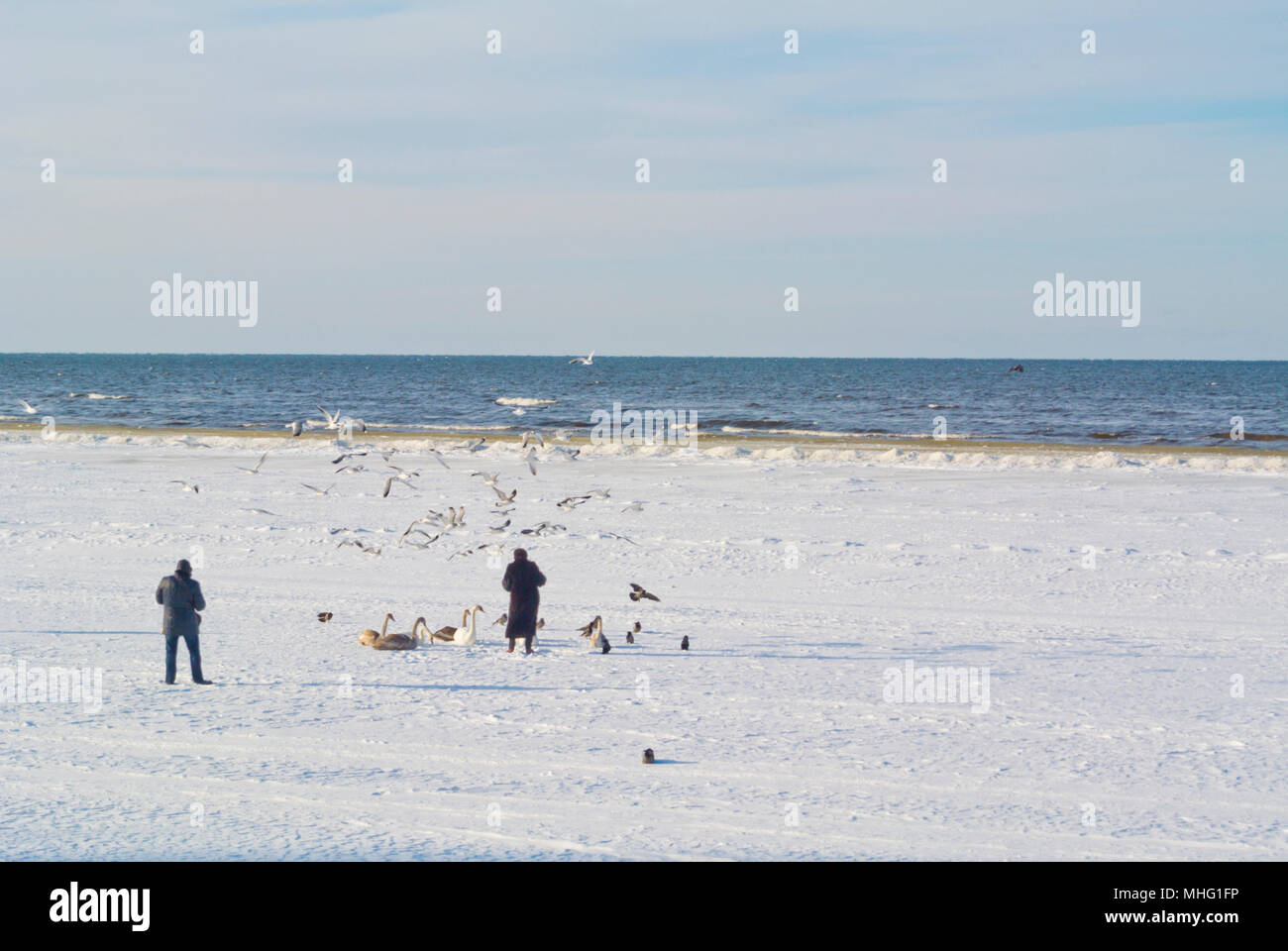 Spiaggia in inverno, Dzintari, Jurmala, Lettonia Foto Stock