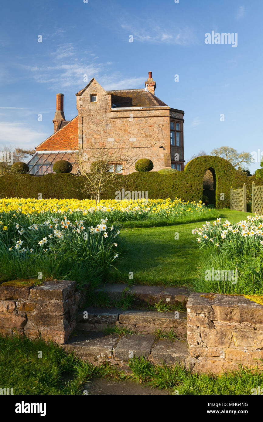 Felley Priory Gardens, Felley Priory, Underwood, Nottinghamshire, Regno Unito. Molla, aprile 2018. Foto Stock
