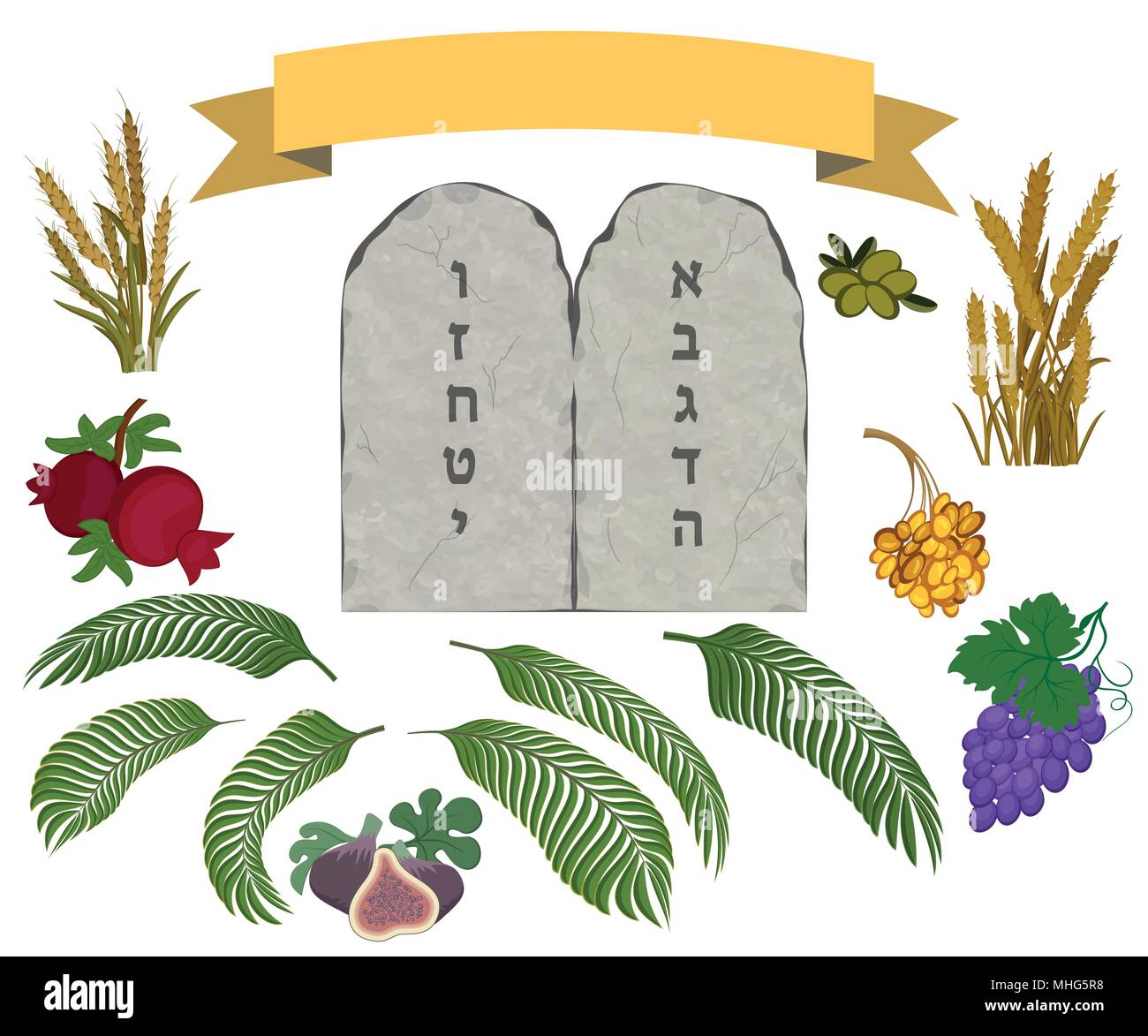 Tavolette di pietra con dieci comandamenti con testo ebraico e sette specie di Terra Santa su sfondo bianco Illustrazione Vettoriale