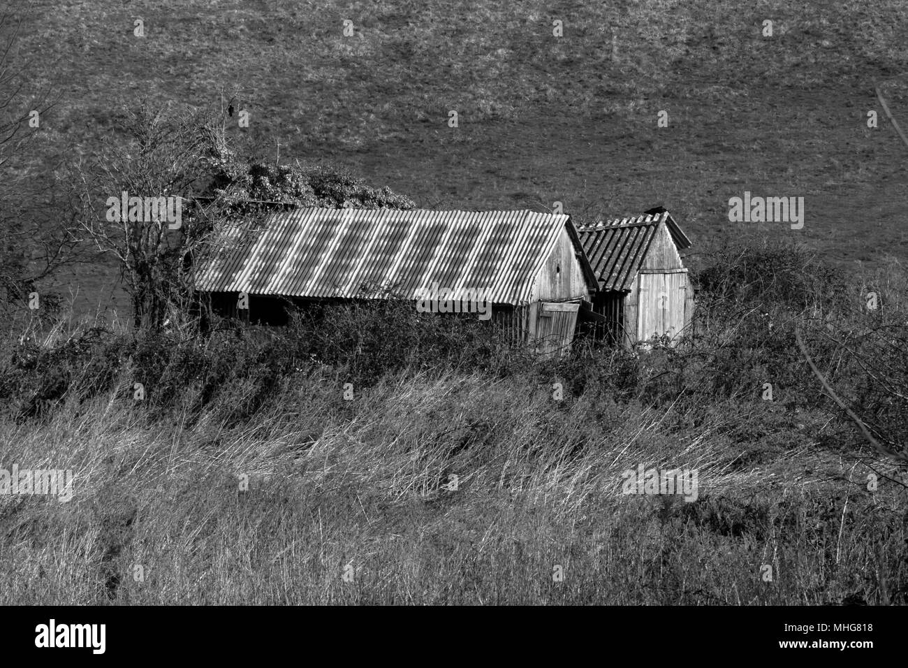 Foto di una coppia di vecchi e capannoni abbandonati nel lato del paese Foto Stock