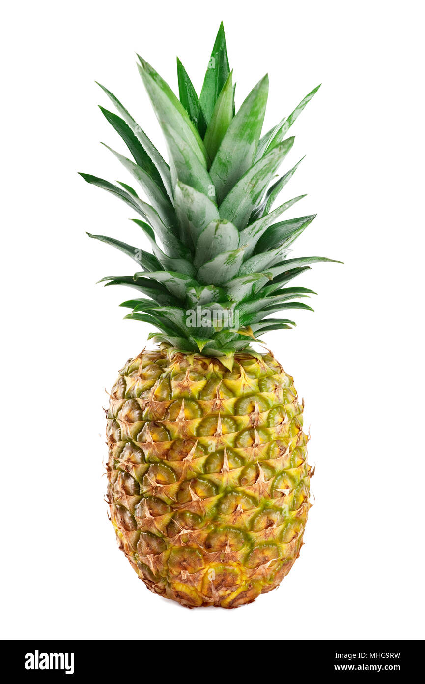 Unico ananas isolate su uno sfondo bianco. Foto Stock