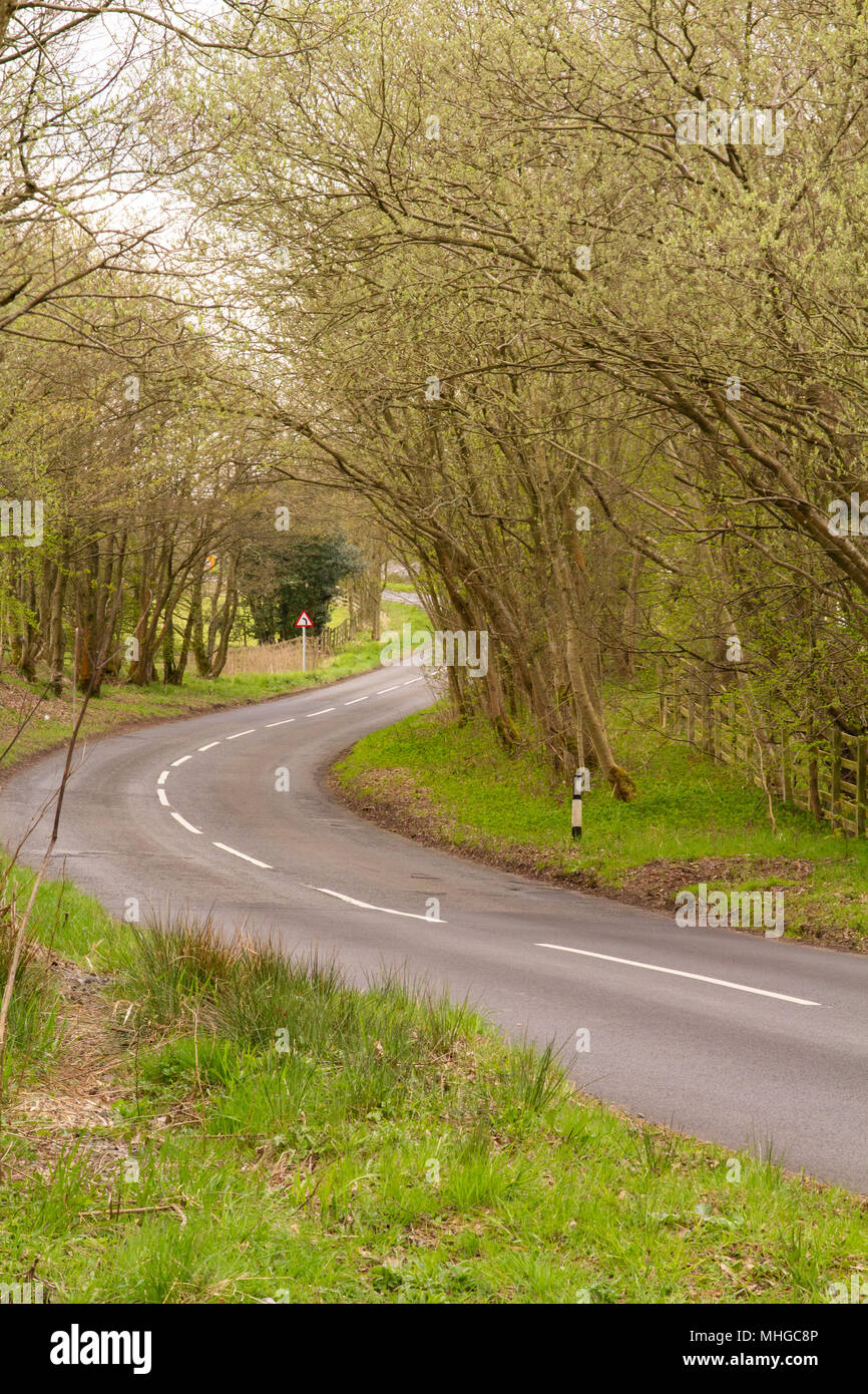 Avvolgimento Northumberland Road Foto Stock