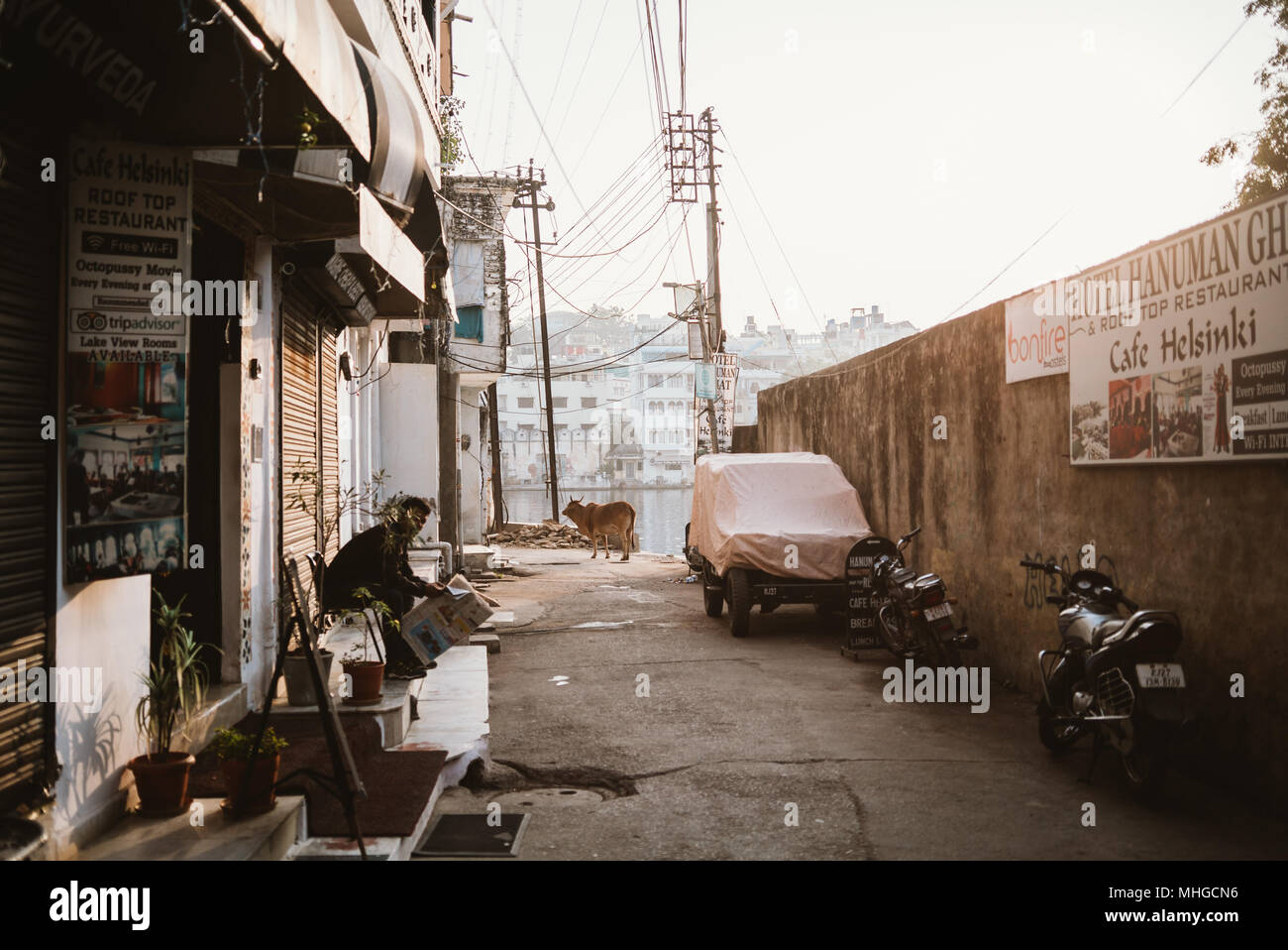 Una vacca e un uomo indiano leggendo un giornale dall'acqua im Udaipur, India Foto Stock