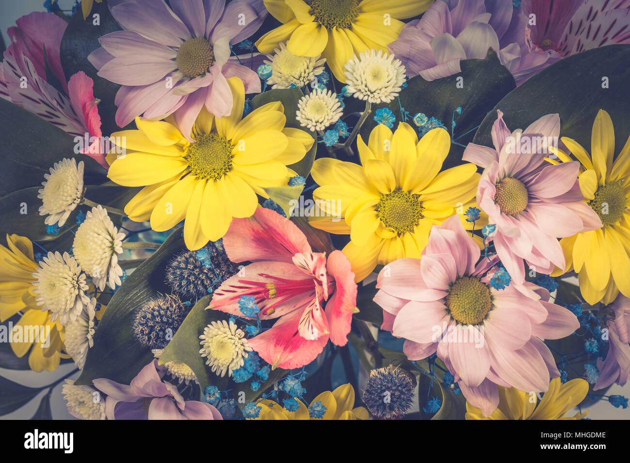 Chamomiles, gerbere e altri fiori come sfondo o uno sfondo Immagine dai toni Foto Stock