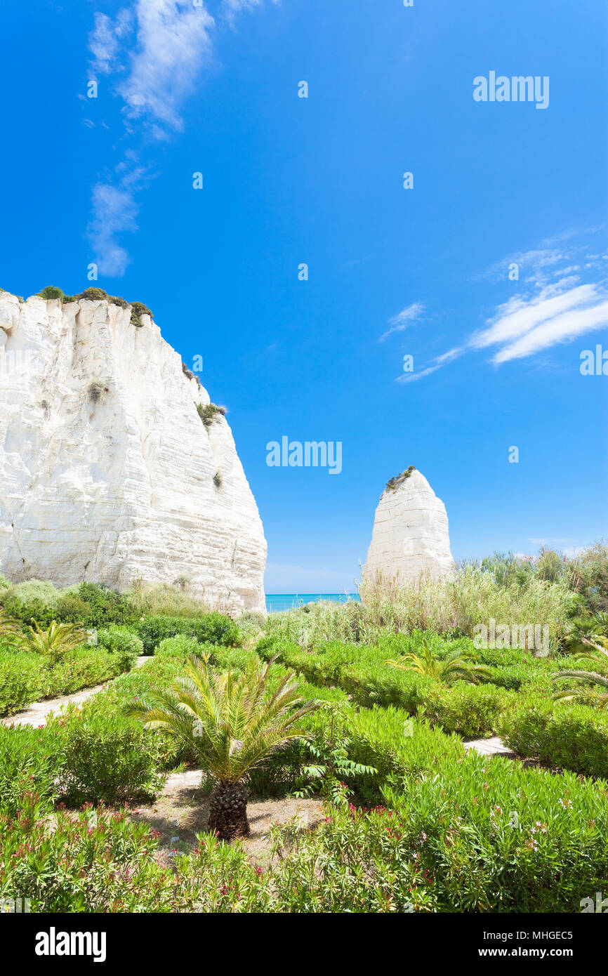 Vieste, Italia, Europa - vegetazione a Chalk rocce di Vieste Foto Stock