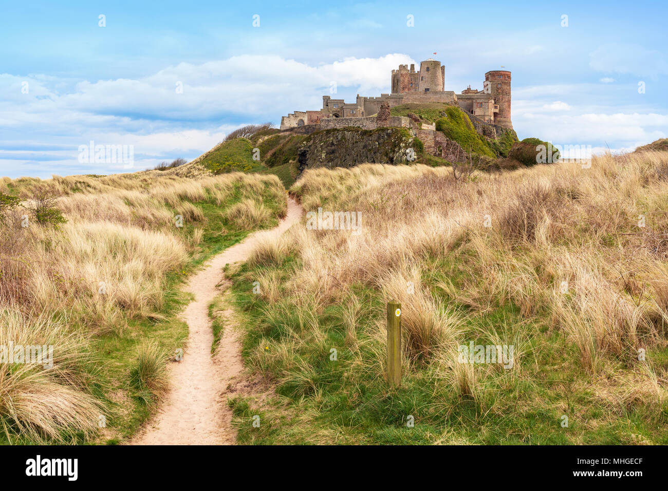 Northumberland sentiero costiero e camminare con il castello di Bamburgh e dune di sabbia, Bamburgh, Northumberland, Inghilterra Foto Stock Northumberland sentiero costiero e camminare con il castello di Bamburgh e dune di sabbia, Bamburgh, Northumberland, Inghilterra Foto Stock