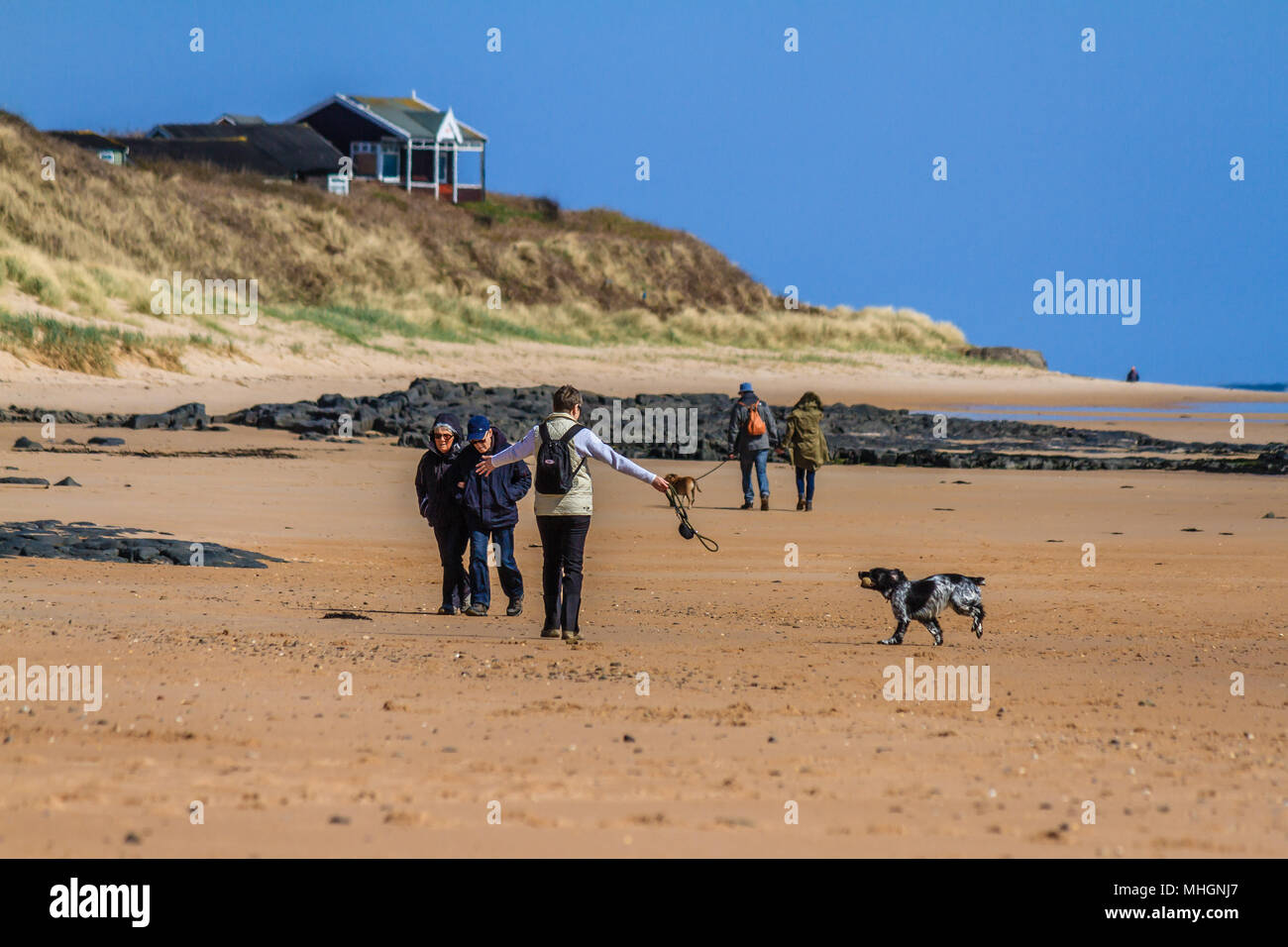 La gente a piedi i loro cani sulla spiaggia sabbiosa a bassa Newton-per-il-Mare, Northumberland, Regno Unito. 2018. Foto Stock