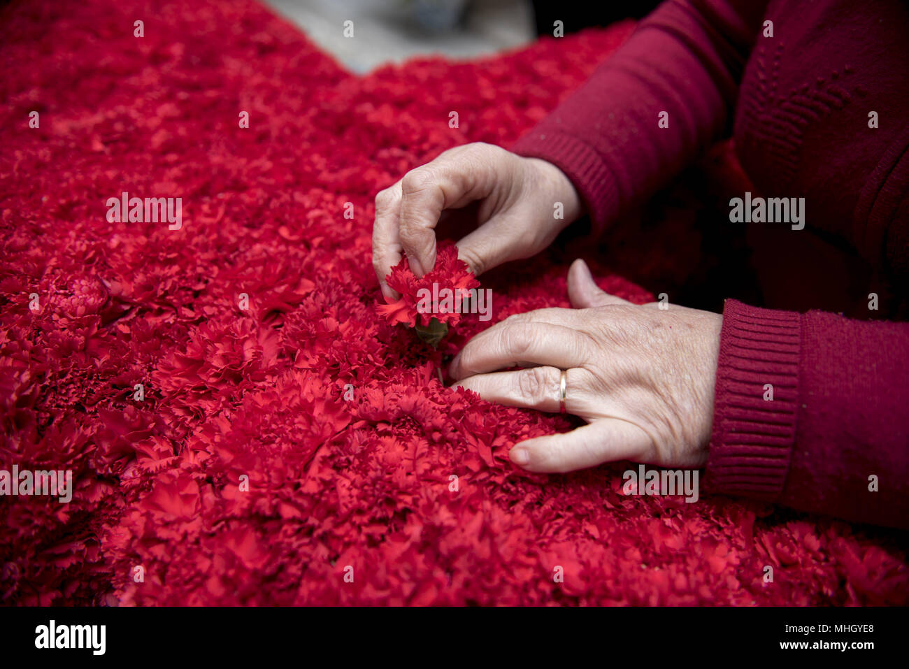 Granada, Spagna. Il 1 maggio, 2018. Una donna decora con garofani rossi una croce che sarà parte di un altare in "'DÃ-de la Cruz'' in Granada. " El dÃ a de la Cruz'' o 'DÃ-de las Cruces'' è una delle più belle feste in Granada. Ogni 3 maggio molte vie, piazze e terrazze mostrano altari con croci ornate di fiori per commemorare la Santa Croce. Credito: Carlos Gil/SOPA Immagini/ZUMA filo/Alamy Live News Foto Stock