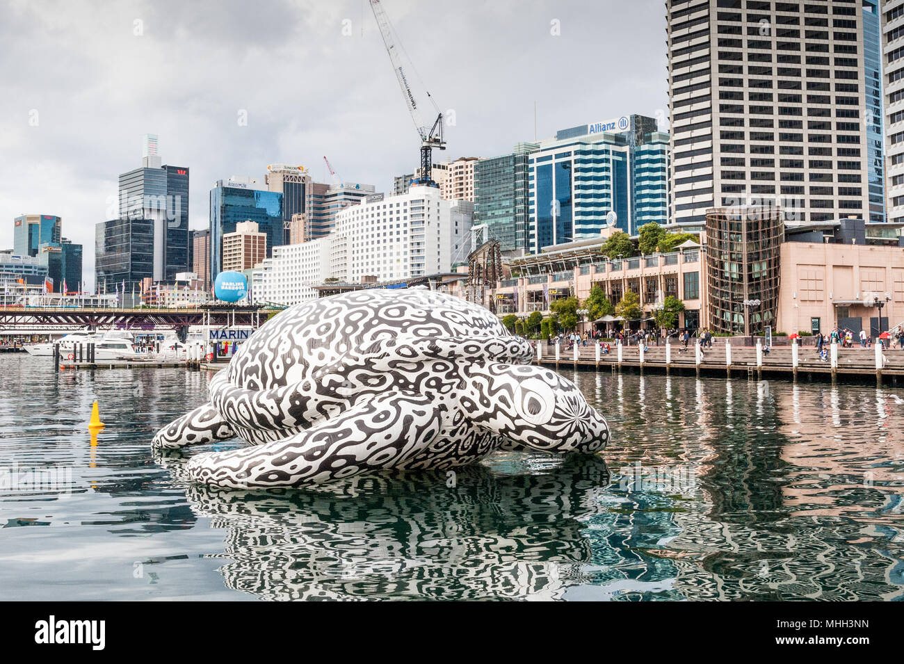 Alphie la gigantesca tartaruga gonfiabile artwork galleggianti in Darling Harbour di Sydney, Nuovo Galles del Sud, Australia. Foto Stock