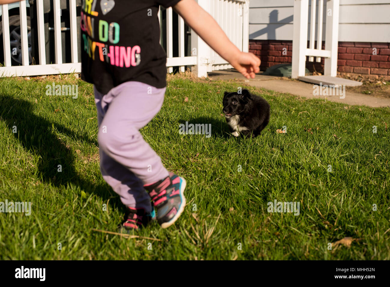 Un bambino ragazze gioca con un piccolo cucciolo nero cockapoo/shetland sheepdog mix. Foto Stock