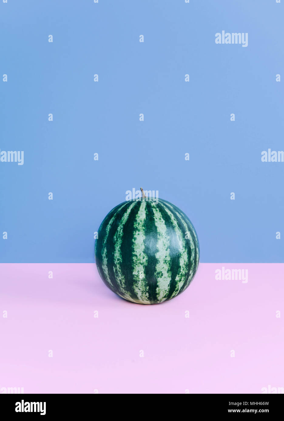 Anguria Fashion su sfondo color pastello. Foto Stock