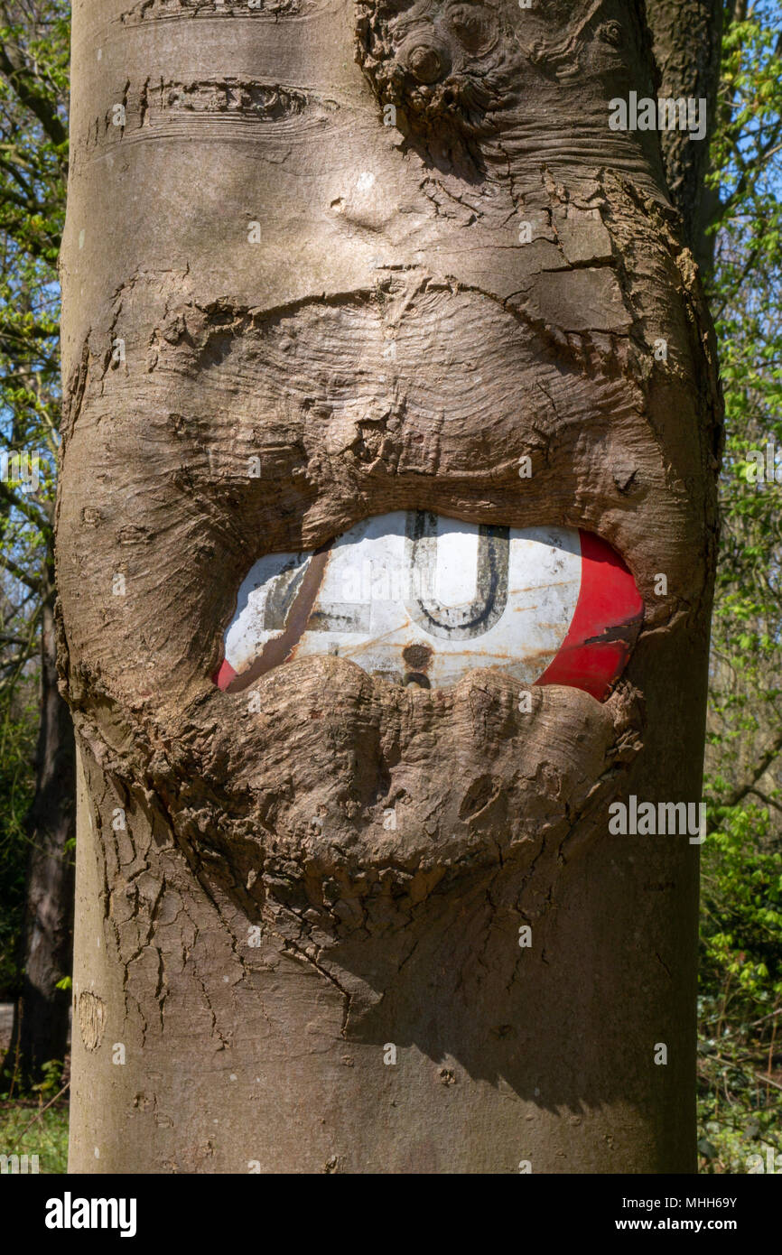 Albero con una speedlimit in Royal Station Wagon ' de Horsten' in Wassenaar Foto Stock