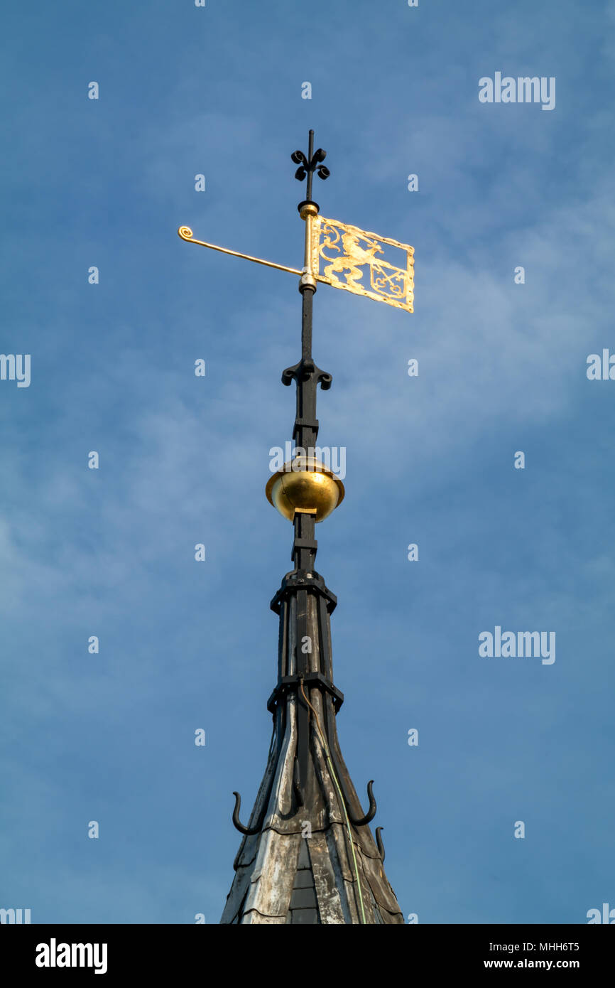 La guglia con timoni a vento e lo stemma sulla torre di uno degli edifici più antichi (Het Gravensteen) in Leiden Foto Stock