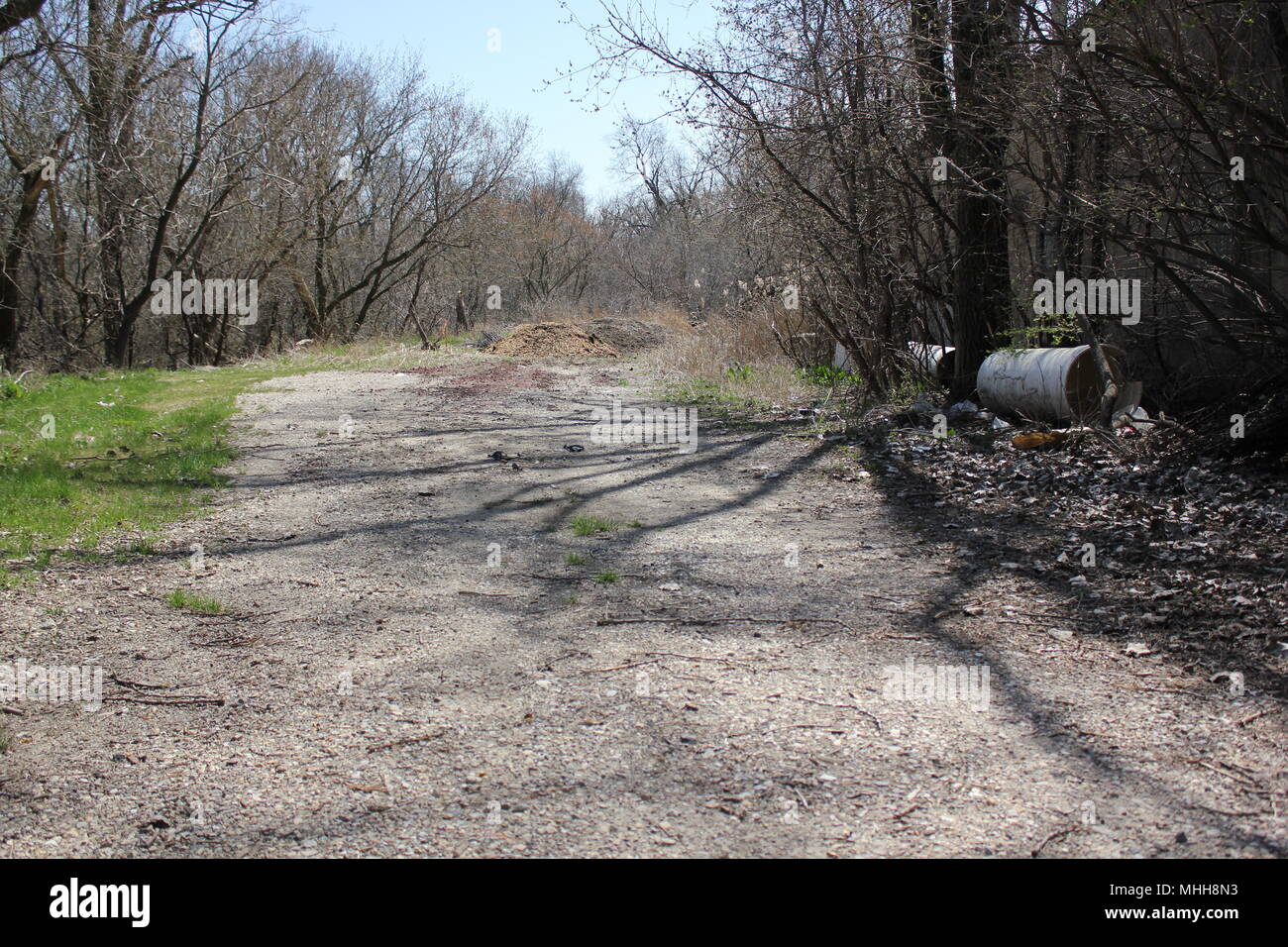 Strada a nessun posto nel bosco soleggiato. Foto Stock