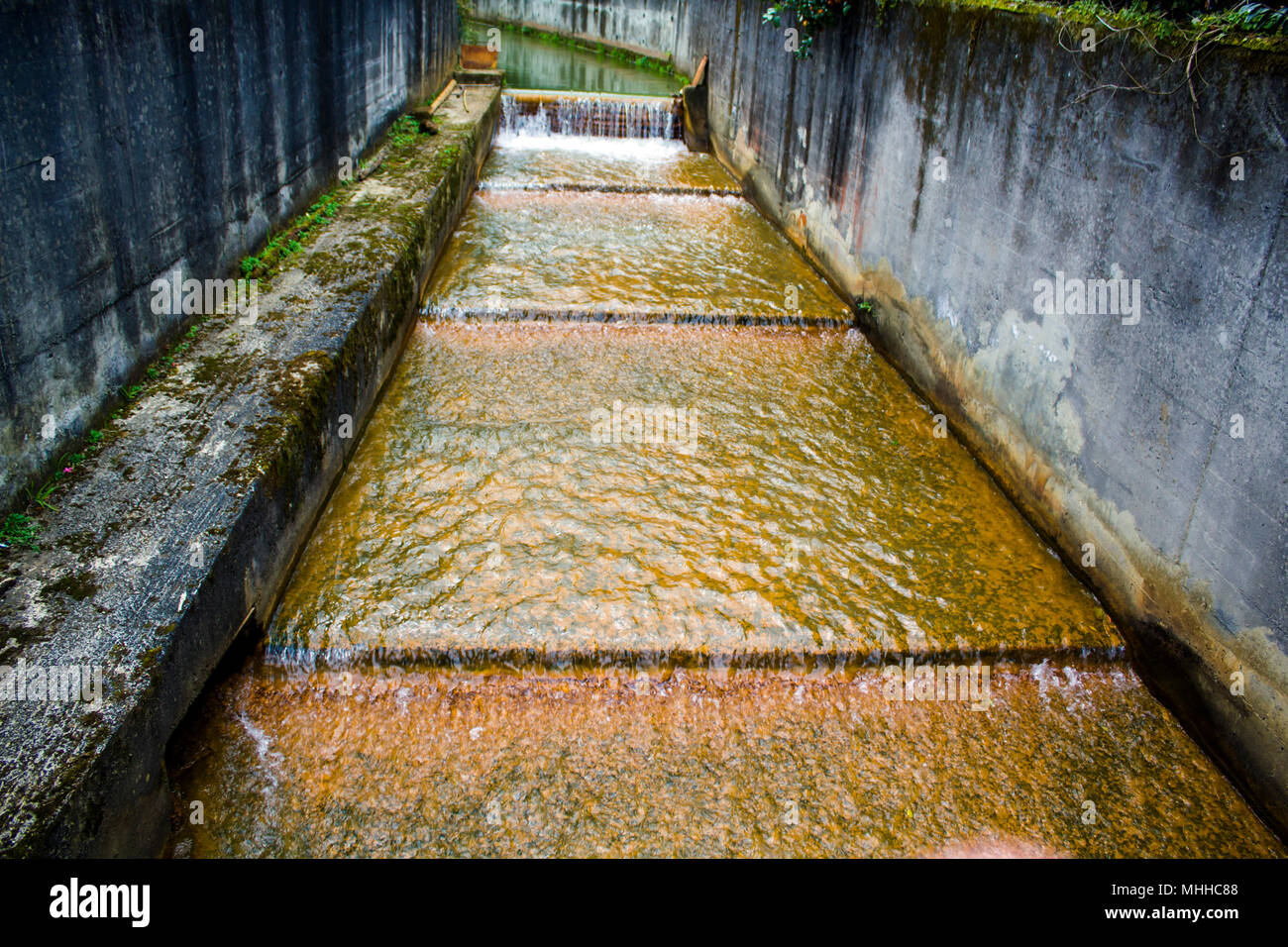 Geotermica di acqua calda che fluisce in Furnas, Sao Miguel, Azzorre Foto Stock