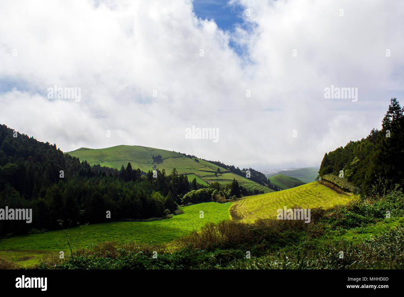 Il verde paesaggio collinare paesaggio con viste mozzafiato sull'orizzonte Foto Stock