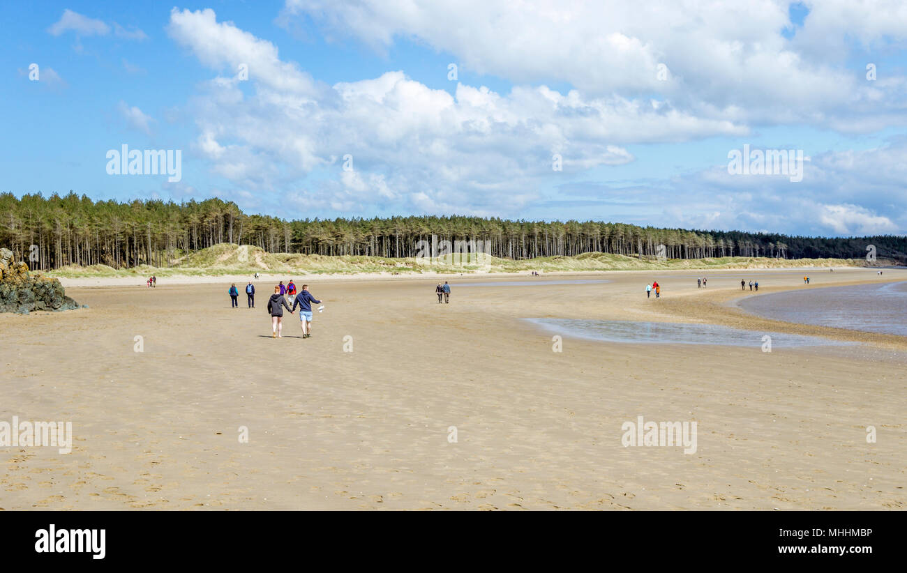 Grande numero di visitatori Llanddwyn sulla spiaggia di Newborough, Anglesey. Foto Stock