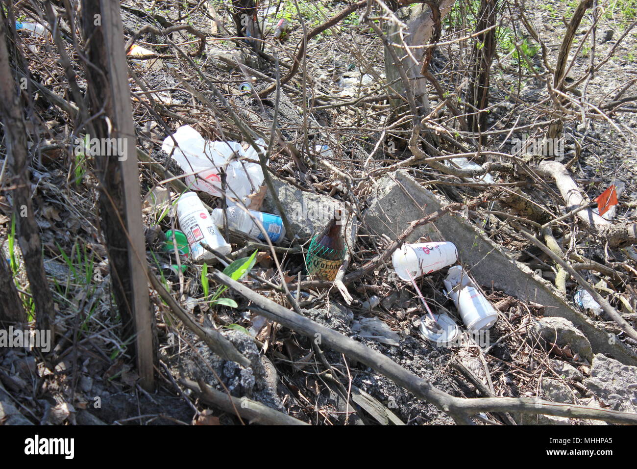 Inquinamento casuale che si accumula lungo la strada della Foresta. Foto Stock