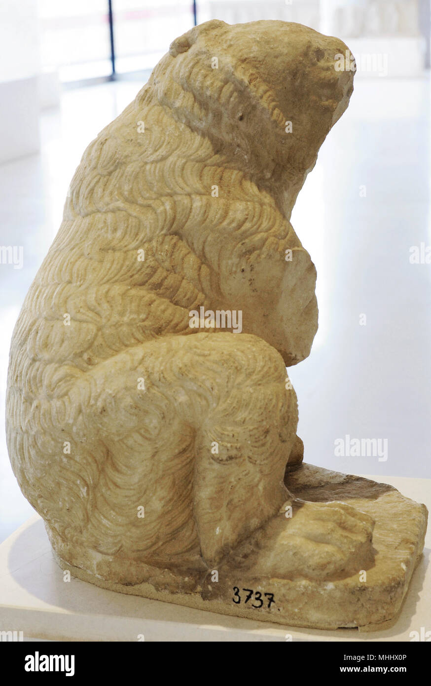 Santuario o Artemide Brauronia. La dedizione. Statua di un piccolo orso, Artemis' animale sacro. Del IV secolo A.C. Museo dell'Acropoli. Atene. La Grecia. Foto Stock