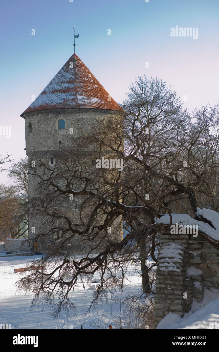 Un distese innevate del parco con il Kiek in de Kök al di là della torre, Tallinn, Estonia Foto Stock