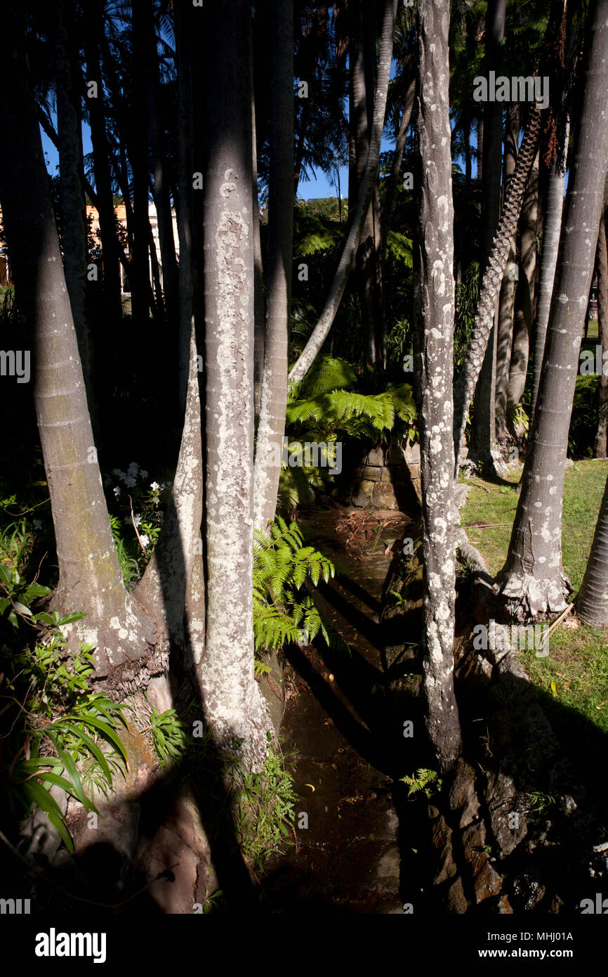 Casa vaucluse wentworth road vaucluse sydney New South Wales AUSTRALIA Foto Stock