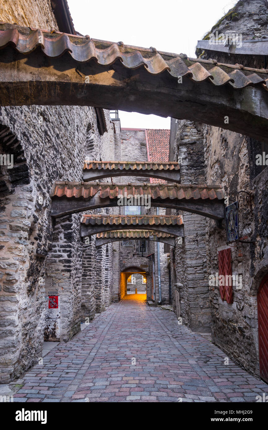 Vista del passaggio di Santa Caterina, la Città Vecchia di Tallinn, Estonia Foto Stock