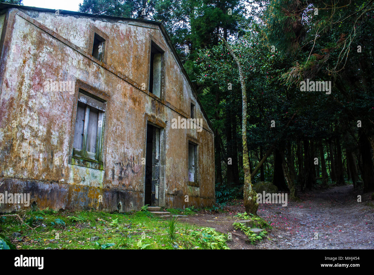 Casa abbandonata nella foresta Foto Stock