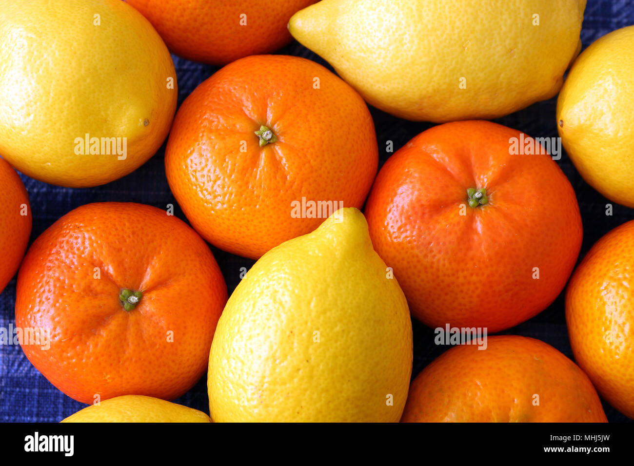 Gruppo di arance e di limoni Foto Stock